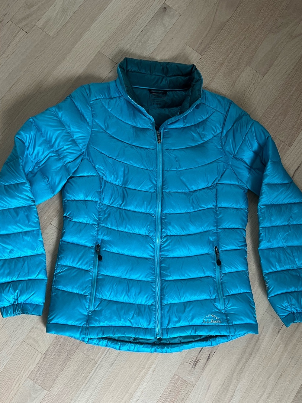 ❄️Like-New LLBean DownTek 850 fill Puffer Jacket